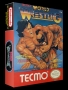 Nintendo  NES&nbsp; - &nbsp;Tecmo World Wrestling (USA)
